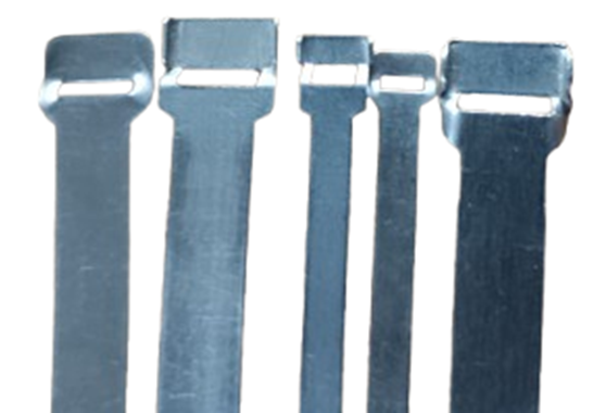 Stampedbuckleband